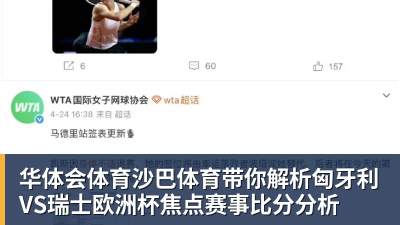 沙巴体育带你解析匈牙利VS瑞士欧洲杯焦点赛事比分分析