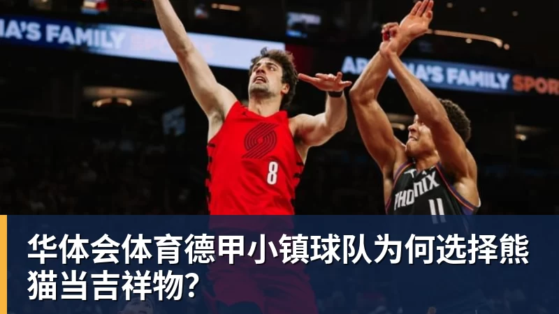 德甲小镇球队为何选择熊猫当吉祥物？